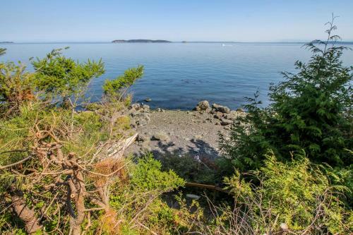 Raccoon Point