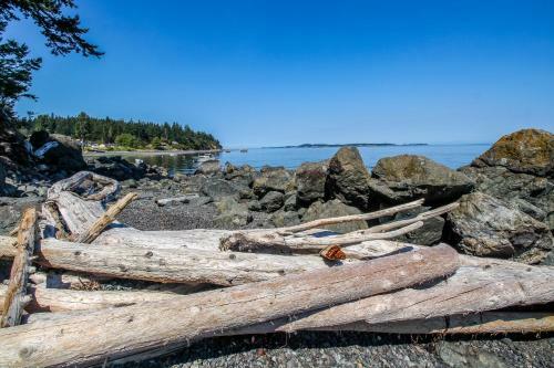 Raccoon Point
