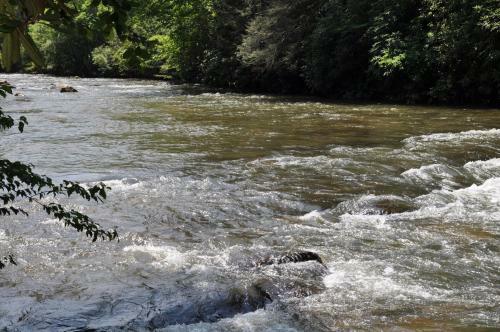 Fightingtown Creek Frontage Trinity Waters