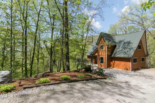 Asheville Sasha's Cabin