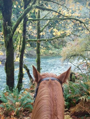 A Relaxing Get Away Solduc