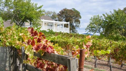 Sonoma Valley Vineyard Estate