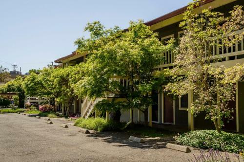 Posada The Jack London Lodge