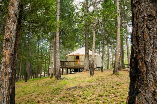 Yosemite Lakes Hillside Yurt 2