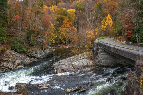 Up The Creek Home