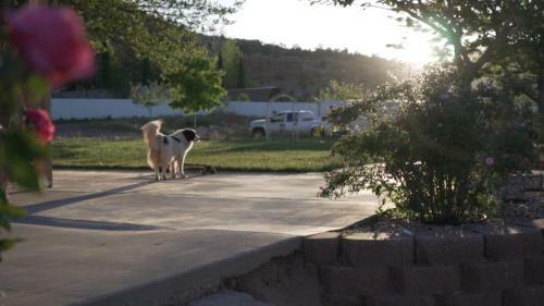 Zion's Blue Sage Bed & Breakfast