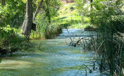 Allen Ranch