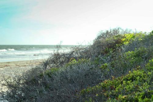 Villa 5513 Turtle Cove