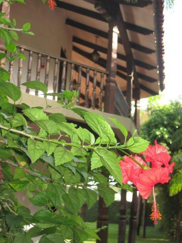 Aparthotel Urbari Apartment Hotel