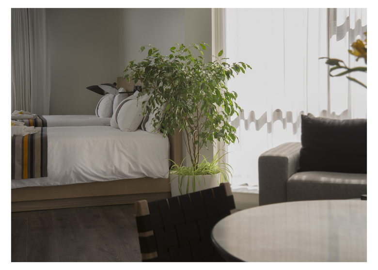 Hotel Casa Grande Suites