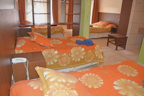 Hotel Mitru