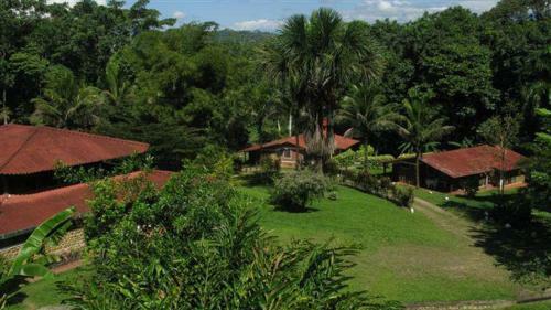 Hotel De Selva El Puente