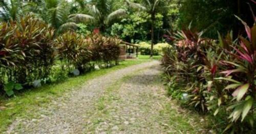 Hotel De Selva El Puente