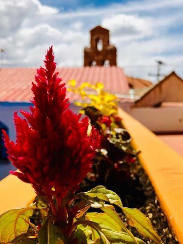 Hotel Santa Teresa