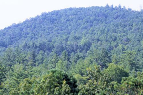 Apartamento North Carolina Mountain Condo
