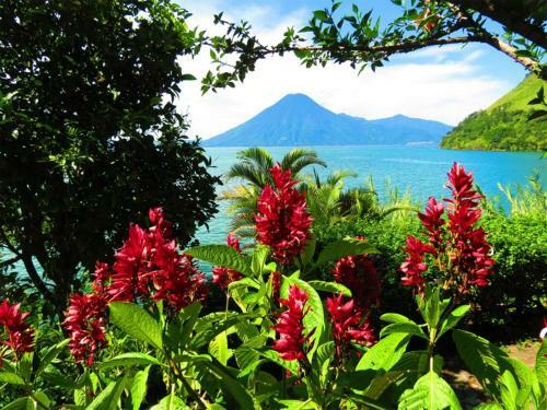 Hostal Arca De No�