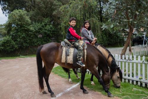 San Ricardo Farm & Lodge