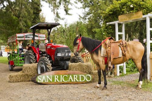 San Ricardo Farm & Lodge