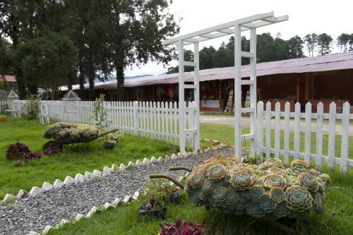 San Ricardo Farm & Lodge