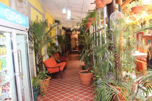 Hotel Casa Del Viajero
