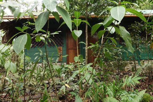 Hotel Finca Tatin