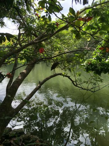 Hotel Finca Tatin