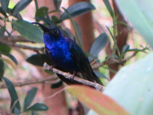 Lodge Jilguero Cabins & Tours