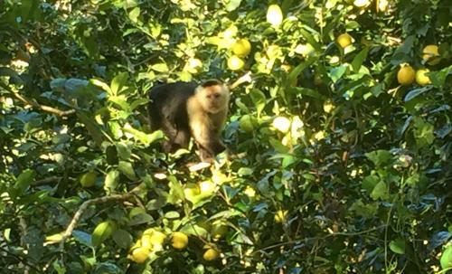 Lodge Jilguero Cabins & Tours