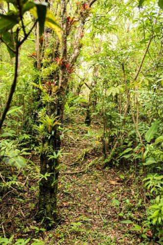 Lodge Jilguero Cabins & Tours