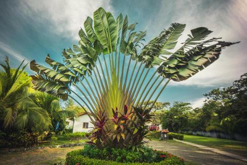 Hotel Santa Catalina Panam�