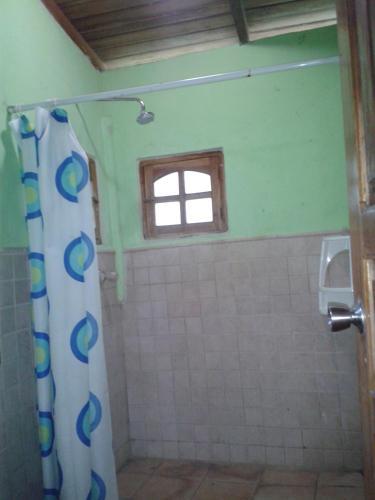 Bed & Breakfast Coibahouse