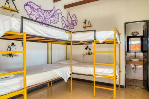Hotel Pedasito, S.a