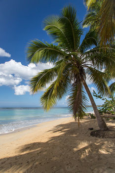 Hostal Habitaciones Playa Coson