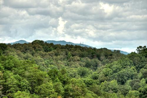 Mccaysville Serenity Now