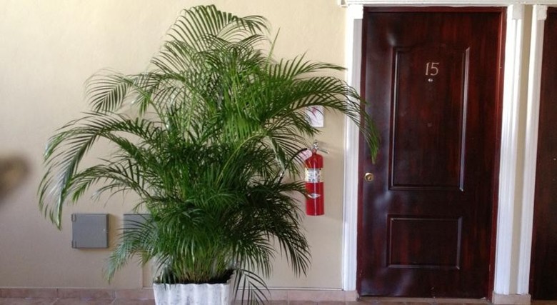 Residencial Alvear