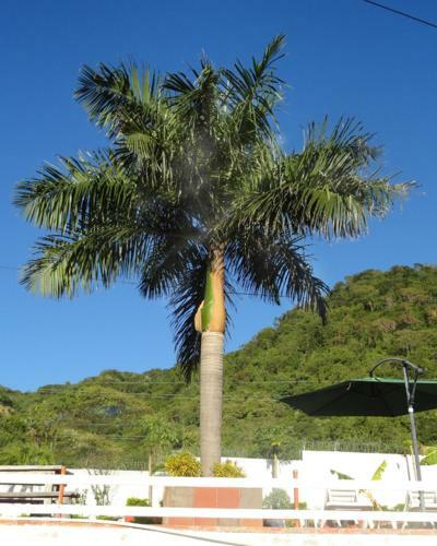 Hotelito Oasi Italiana