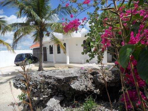 Hostal Guest House Villa La Isla B&B