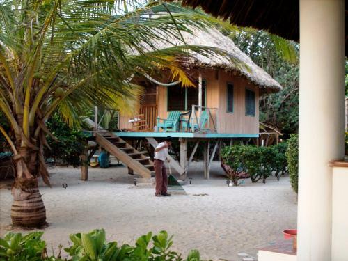 Lodge Green Parrot Beach Houses And Resort