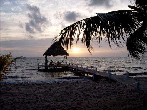 Lodge Green Parrot Beach Houses And Resort