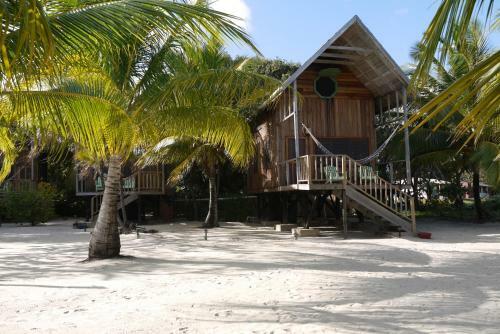 Lodge Green Parrot Beach Houses And Resort