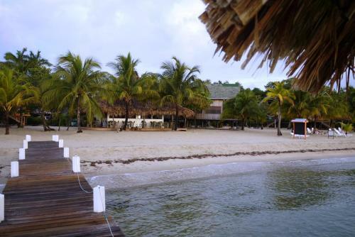 Lodge Green Parrot Beach Houses And Resort