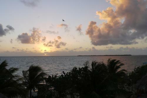 Lodge Green Parrot Beach Houses And Resort