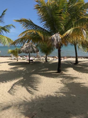 Lodge Green Parrot Beach Houses And Resort