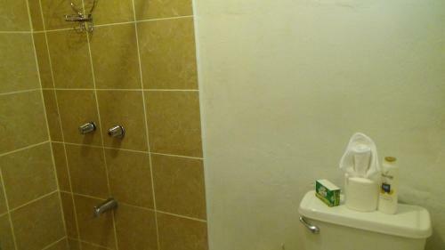 Hostal Hacienda Tropical Guest House