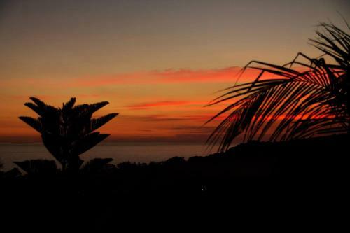 Hostal Cima Dorada Villa
