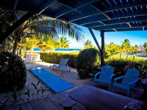 Apartamento Colibri House