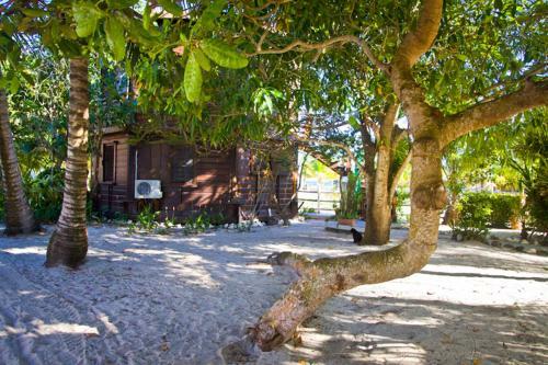 Apartamento Colibri House