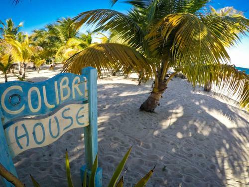 Apartamento Colibri House