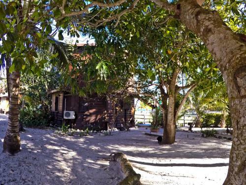 Apartamento Colibri House