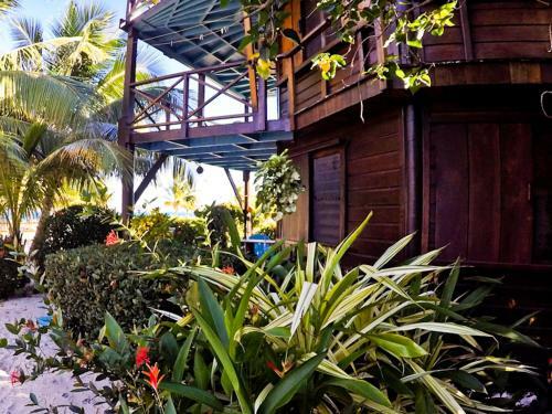 Apartamento Colibri House